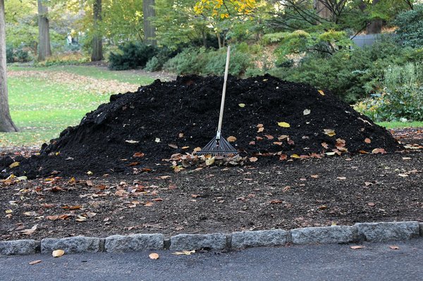 Lombricompostage et Jardinage : Utiliser le Compost pour Enrichir Votre Sol