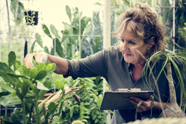 10 astuces pour jardiner facilement en tant que senior